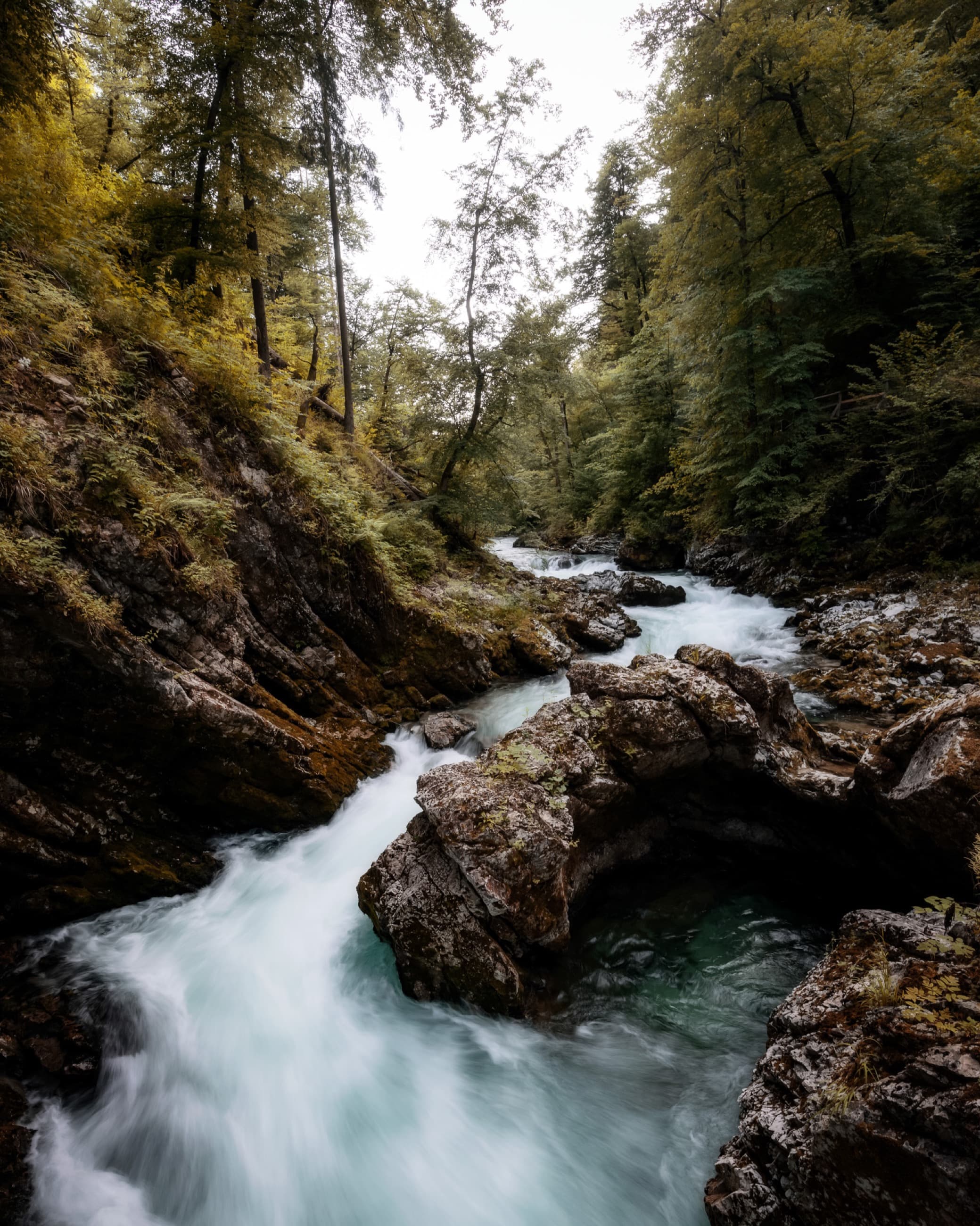 Slovenia Gorge